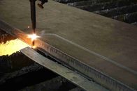 Laser del plasma del pezzo meccanico che taglia piatto d'acciaio per il macchinario del rivestimento dei metalli